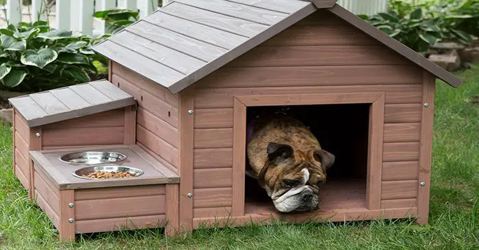 Free Dog Houses