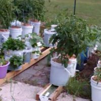 How to Build a Self Watering Rain Gutter Grow System - Watering even a small garden can be a chore, some of us just forget or literally have a hose ban stopping us from doing so in the height of summer. This awesome DIY project utilizes the use of rain gutters and 5 gallon buckets to help your garden grow.
