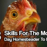 133 Skills For The Modern Day Homesteader To Master — I may not have acres and acres like a traditional homestead but being a modern day homesteader, all I need is my brain and the will to carry on.