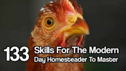 133 Skills for the Modern Day Homesteader to Master