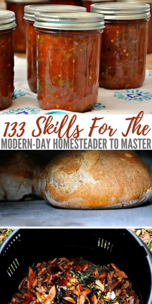 133 Skills For The Modern Day Homesteader To Master — I may not have acres and acres like a traditional homestead but being a modern day homesteader, all I need is my brain and the will to carry on.
