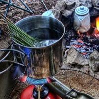 4 Wild Teas Every Survivalist Should Know — These teas can give you much needed nutrients and boost morale if you find your self lost in the woods