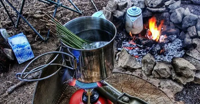 4 Wild Teas Every Survivalist Should Know — These teas can give you much needed nutrients and boost morale if you find your self lost in the woods