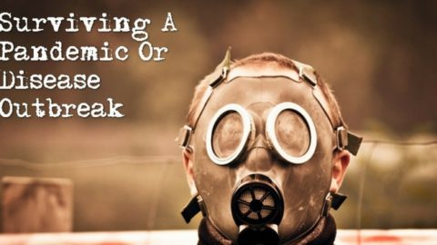 Surviving a Pandemic or Disease Outbreak