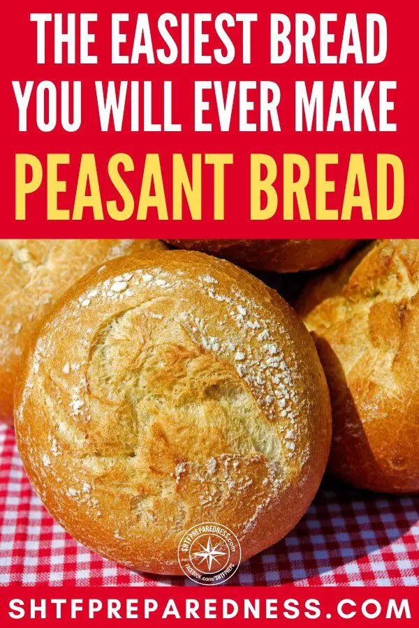 Peasant bread a great recipe to have if SHTF.