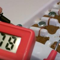 How To Make An Earth Battery - With something as simple as an old ice cube tray some soil a few bolts and copper wire you can get about 5 volts of electricity. This is enough to power a few LED lights, calculators and if you are really tech minded even a mobile or USB device.