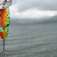 Top 5 Reasons Why People Do Not Catch Fish - Just because you have fished, doesn&rsquo;t mean you know how to catch fish. Even people that fish regularly, such as my father, don&rsquo;t always know what they are doing. So why do many Preppers think they are going to consistently catch fish during a survival situation?