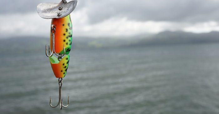 Top 5 Reasons Why People Do Not Catch Fish - Just because you have fished, doesn’t mean you know how to catch fish. Even people that fish regularly, such as my father, don’t always know what they are doing. So why do many Preppers think they are going to consistently catch fish during a survival situation?