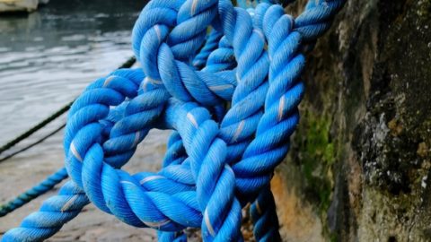 30 Of The Best Scouting Knots To Master