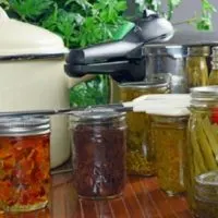 50+ Survival Canning Recipes — Canning is probably my most favorite way of preserving food. I love saving money and this is a great way to do just that!. Get a great selection of over 50 canning recipes that can be very valuable in any emergency situation