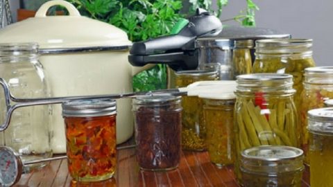 50+ Survival Canning Recipes