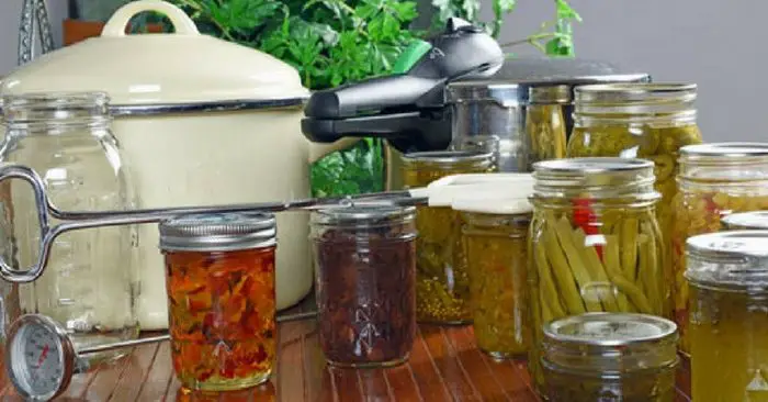 50+ Survival Canning Recipes — Canning is probably my most favorite way of preserving food. I love saving money and this is a great way to do just that!. Get a great selection of over 50 canning recipes that can be very valuable in any emergency situation