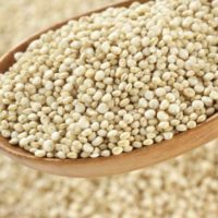 7 Survival Crops You Can Grow Without Irrigation — Grow your own survival crops when needed with out the worry of irrigation. I have always wondered what staple crops I could have to grow if SHTF and not worry to much about irrigation.