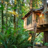 Build A Low Impact Woodland Home For Less Than $5000 — This is doable anywhere in the world! Its environmentally friendly and would make a perfect bug out location if you had limited funds to build a cabin or semi permanent residence.