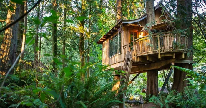 bug out location Build A Low Impact Woodland Home For Less Than $5000 — This is doable anywhere in the world! Its environmentally friendly and would make a perfect <a class=