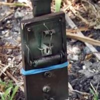 DIY Tripwire Bang Alarm - Alarms can come in a huge variety of styles, many with a hefty price tag. Sometimes, simplicity and portability is what you need. Whether for use when camping, keeping an opportunist from sneaking up on you when in the wilderness, or just scaring away a few pests, consider the decidedly low-tech tripwire bang alarm.