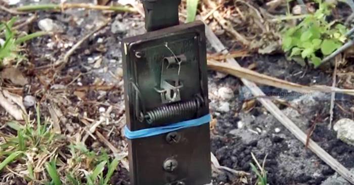 DIY Tripwire Bang Alarm - Alarms can come in a huge variety of styles, many with a hefty price tag. Sometimes, simplicity and portability is what you need. Whether for use when camping, keeping an opportunist from sneaking up on you when in the wilderness, or just scaring away a few pests, consider the decidedly low-tech tripwire bang alarm.