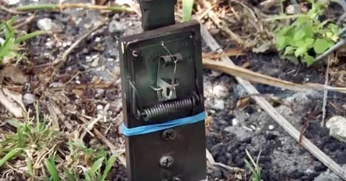 DIY Tripwire Bang Alarm - Alarms can come in a huge variety of styles, many with a hefty price tag. Sometimes, simplicity and portability is what you need. Whether for use when camping, keeping an opportunist from sneaking up on you when in the wilderness, or just scaring away a few pests, consider the decidedly low-tech tripwire bang alarm.