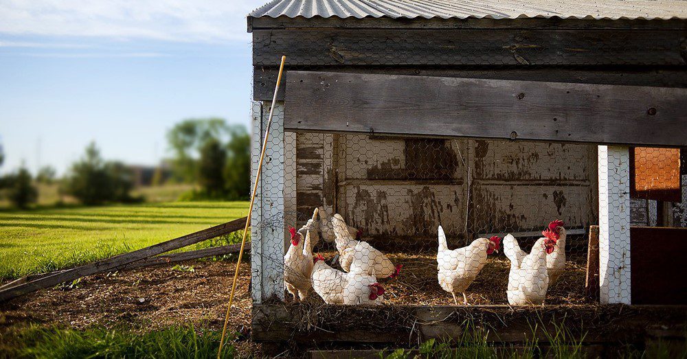 How To Live Off The Grid SHTF Prepping Homesteading Central