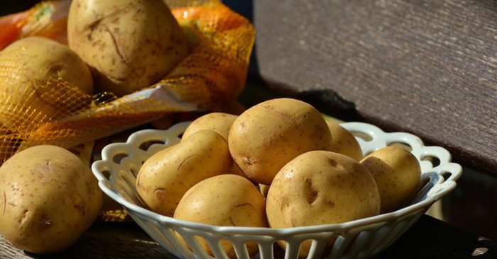 Tips for Storing Potatoes All Winter Long — When it comes to feeding your family from your own garden potatoes are King! I have read many sources that say you should be planting at least 1/3 of all your garden space to potatoes.