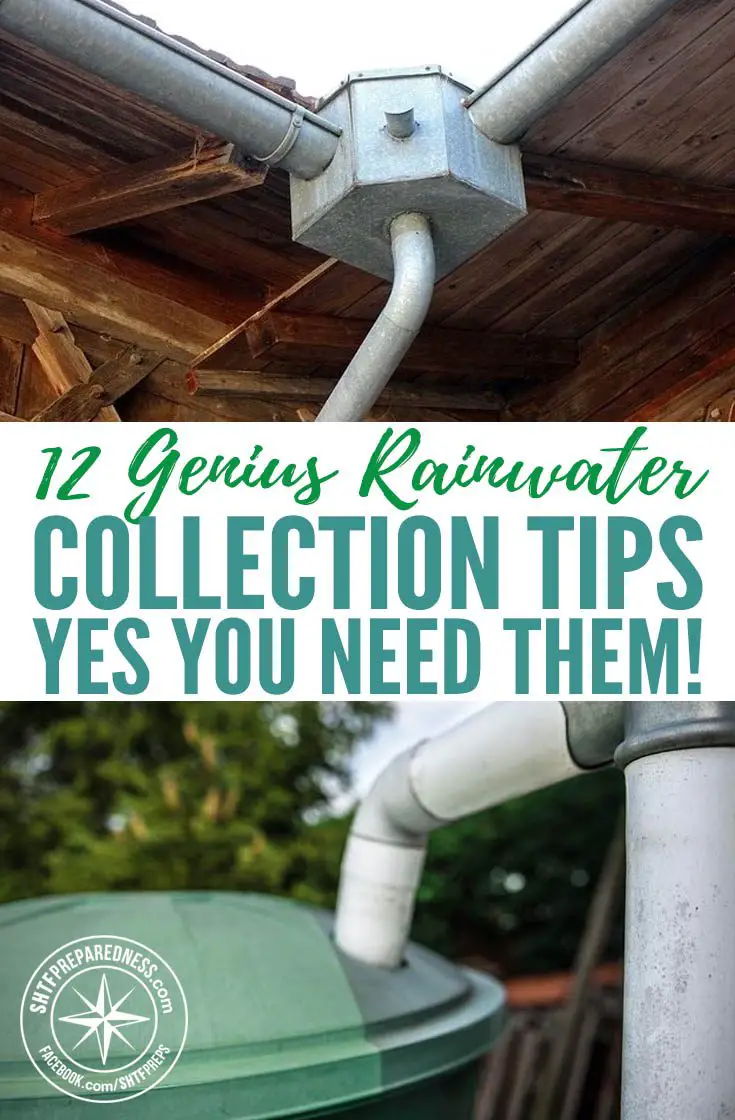 12 Genius Rainwater Collection Tips – Yes You Need Them! — If you’re homesteading or prepping, you already know that securing a dependable source of water can be a challenge. When you’re off the grid, or getting ready for the day that we’re all off the grid, Collecting rainwater is a great option, and Survival Life has several tips on safe, efficient ways to do this.