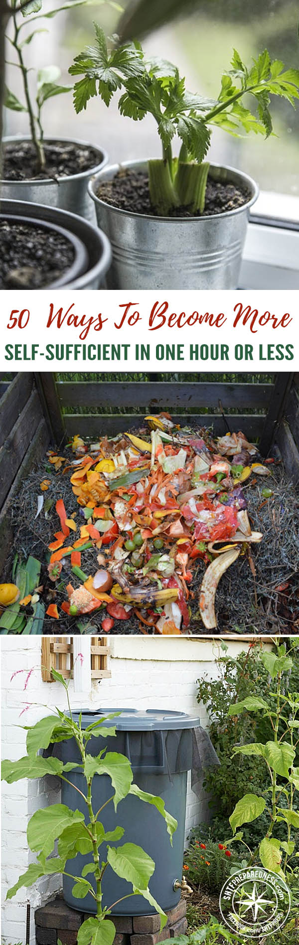 50 Ways to Become More Self-Sufficient in One Hour or Less — If you woke up one morning and you had no one to rely on but yourself, could you do it? Could you be entirely self-sufficient, with food, shelter, and other necessities? It is easy to take things for granted when they are so easily come by-a drive to the supermarket can solve so many problems.
