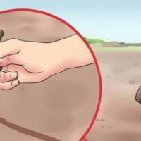 How to Find True North Without a Compass — Basic survival skills are essential for anyone living off the grid, whether it’s by choice or in a SHTF situation. In the event that you have to navigate without landmarks, technology, or even a compass, you need to know how to find true north.