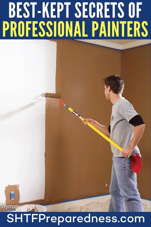 Best-Kept Secrets of Professional Painters — DIY projects can be fun and are definitely economical, not to mention the satisfaction that comes from being self-sufficient. Builds and repairs around the house are common DIY projects, but it is the seemingly simple tasks that prove to be the most challenging for a lot of us.
