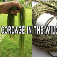 Making Cordage in the Wilderness — The art of bushcraft teaches us that Mother Nature can provide everything we need to survive. You can forage for food, you can use medicinal plants to heal your body and you can build a sturdy shelter with the resources you can find around you.