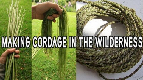 Making Cordage in the Wilderness