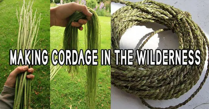 Making Cordage in the Wilderness — The art of bushcraft teaches us that Mother Nature can provide everything we need to survive. You can forage for food, you can use medicinal plants to heal your body and you can build a sturdy shelter with the resources you can find around you.