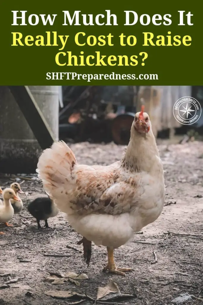 Backyard Chicken Eggonomics How Much Does it Really Cost to Raise Chickens? — I think generally we all would like to raise chickens, either for the eggs or just as pets. Lets be honest tho, do you really know what keeping chickens costs to raise? I know I didn't until I read the amazing article from mindyourdirt.com.