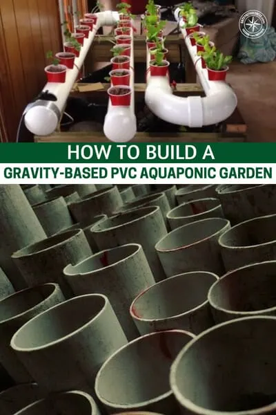 How To Build a Gravity-Based PVC Aquaponic Garden — Aquaponics, is a food production system that combines conventional aquaculture (raising aquatic animals such as snails, fish, crayfish or prawns in tanks) with hydroponics (cultivating plants in water) in a symbiotic environment. In normal aquaculture, excretions from the animals being raised can accumulate in the water, increasing toxicity.