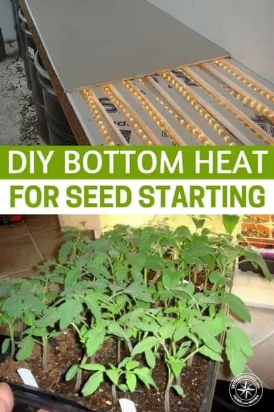 DIY Bottom Heat for Seed Starting Retail bottom heat is expensive – I saw one “kit” at a local garden center that was big enough for 2 flats and was $79 – wow! You can buy a lot of tomato plants for eighty bucks!
