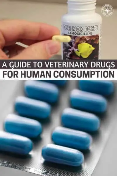 A Guide to Veterinary Drugs for Human Consumption — In times of uncertainty, we humans like to stockpile and hoard. We seek information that will keep us safe and provide for our well-being. It’s not a big secret that veterinary antibiotics and drugs do not require a prescription.
