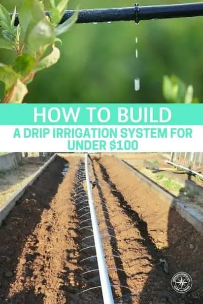How To Build A Drip Irrigation System For Under $100 — A drip irrigation system can save you time, money and conserve water. This drip irrigation system can be turned on and left to do its job without you having to stand over it to monitor its progress.