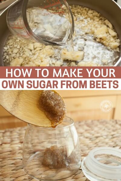 How To Make Your Own Sugar From Beets — With this homesteading project you will learn how to make your own sugar. This project is really easy to do and could save you money on your groceries throughout the year. Sugar would be a great bartering item to have stored too.