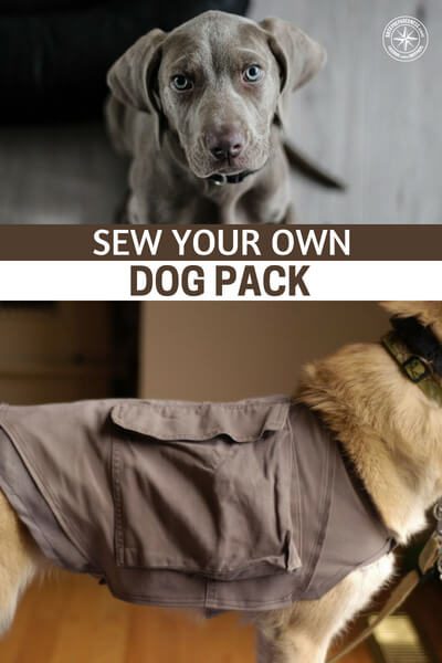 Sew Your Own Dog Pack — If none of the commercially available dog packs strikes your fancy (or if they're too expensive), try putting together your own using the pattern and directions provided below.
