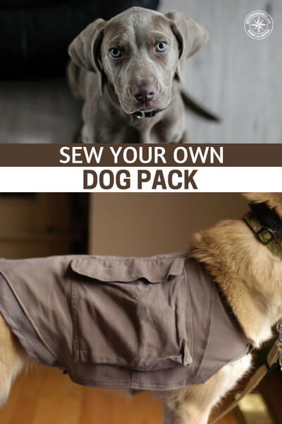 Sew Your Own Dog Pack — If none of the commercially available dog packs strikes your fancy (or if they're too expensive), try putting together your own using the pattern and directions provided below.