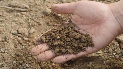 Basics of Soil Enrichment