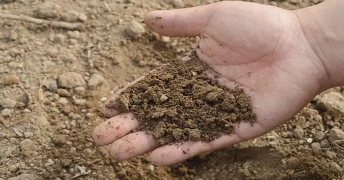 Basics of Soil Enrichment - If you want to produce seriously nutritious food it all starts with your soil. One of the most important aspects of gardening is revitalizing that soil every single year. If you have a great year of growing and produce tons of fresh vegetables your soil is tired. Its going to need some help to get back into growing shape again. This article goes over several different ways to enrich your soil. It may sound complicating but its actually pretty simple.