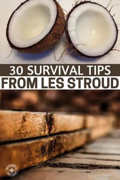 30 Survival Tips From Les Stroud