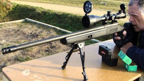 SHTF Ammo Debate .308 or .223