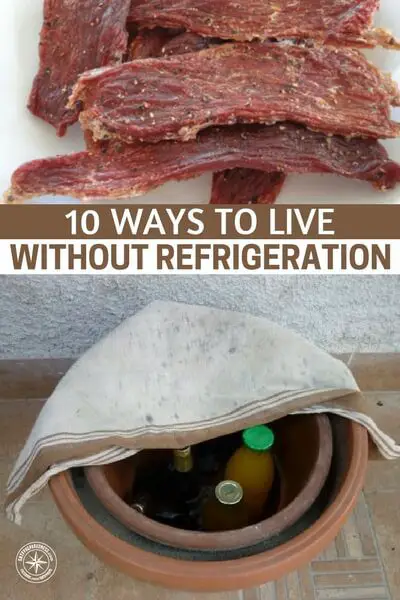 10 Ways to Live Without Refrigeration - This article goes into detail on how its possible to live and thrive without the convenience. Its possible but you will have to develop a new set of skills. The author does a great job of listing the practices and processes for making this work.