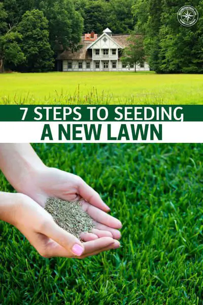 7 Steps to Seeding a New Lawn - The optimal time to plant grass seed is spring and fall, the cooler temperatures and rains help the seeds get a good footing and the cooler temperatures help keep crabgrass at bay so your seeds have a better time at rooting. All that being said, you can still plant your grass now. You will just have to make sure you keep the sol moist and watered.