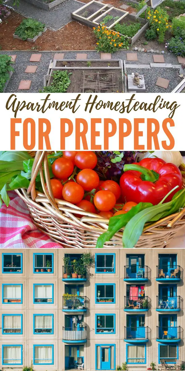Apartment Homesteading For Prepper Apartment Homesteading For Preppers Lived In An I Was Still Uninformed Sheep