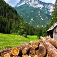 How to Build a Log Cabin (&hellip;from Scratch and by Hand) - We all have a strange desire to go off grid and build a cabin. Living in a beautiful hand crafted log cabin will make a lot of homesteaders and off-grid dreams come true