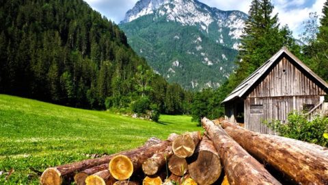 How to Build a Log Cabin (…from Scratch and by Hand)