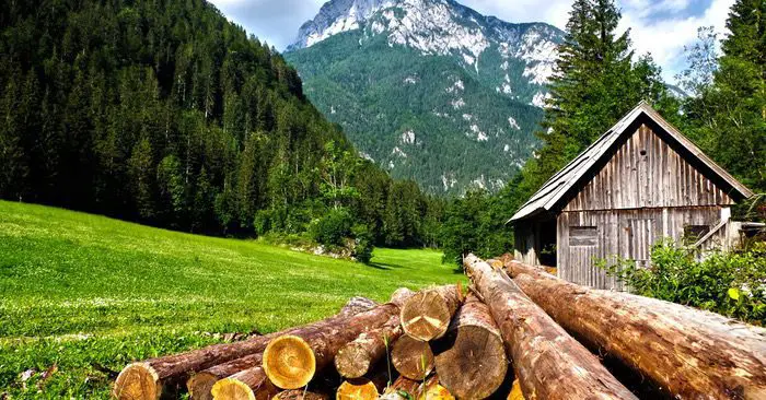 How to Build a Log Cabin (…from Scratch and by Hand) - We all have a strange desire to go off grid and build a cabin. Living in a beautiful hand crafted log cabin will make a lot of homesteaders and off-grid dreams come true