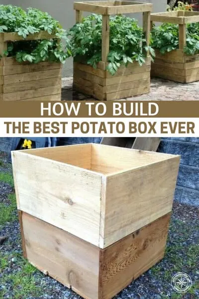 How To Build The Best Potato Box Ever - The box is designed so additional slats can be screwed to the sides as the plants grow and soil is added. In theory, a bottom slat can be temporarily removed to facilitate the harvest of new potatoes.